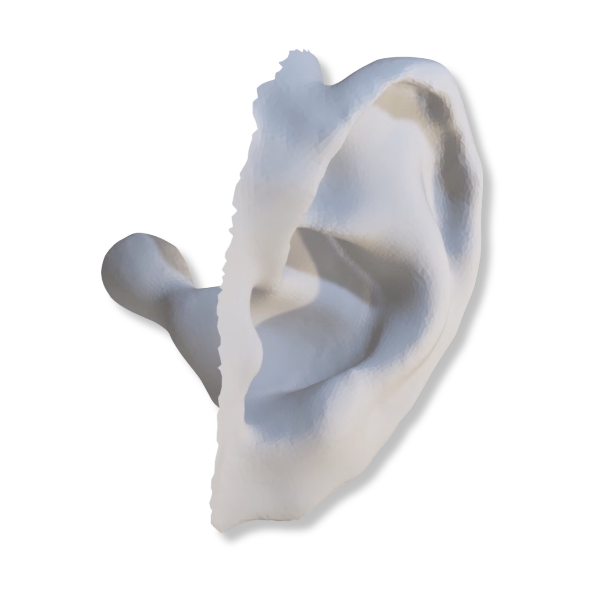 3D Ear Scans – Aware Defense