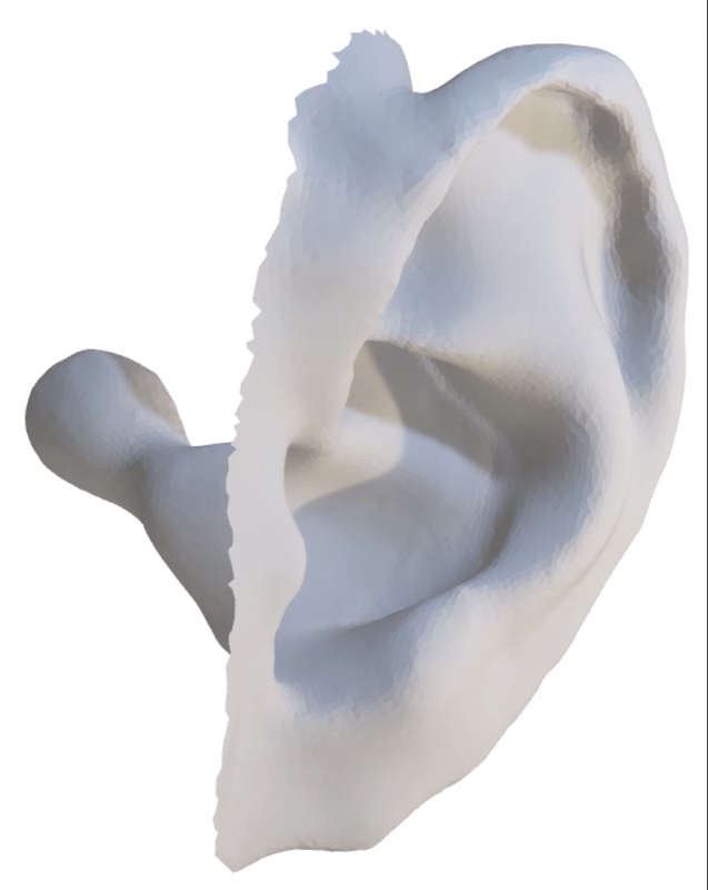 3D Ear Scans