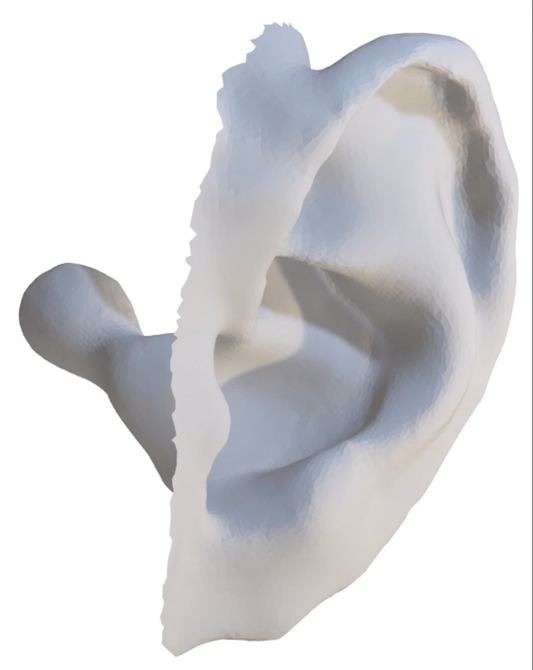 3D Ear Scans